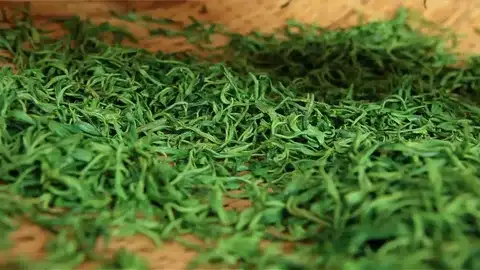 تصویر 3 از شوید خشک ارگانیک معطر با فرآوری طبیعی و کیفیت مطلوب